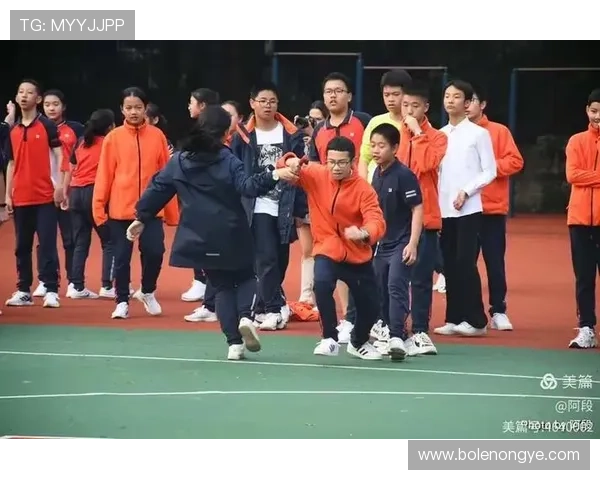 皇冠体育网站app功能介绍与操作指南帮助新手用户快速上手